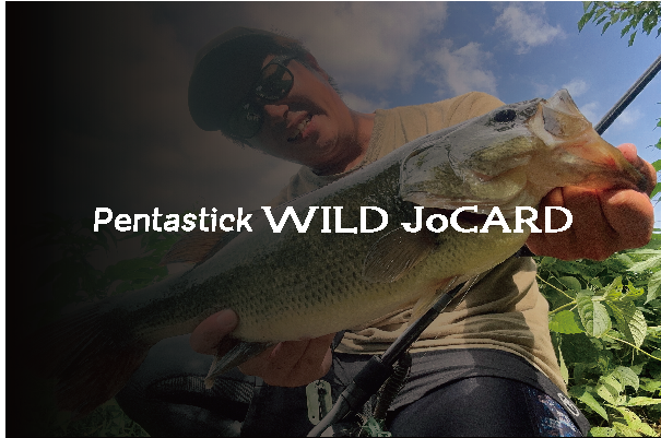 Pentastick WILD JoCARD | 株式会社リチャーズ オンラインショップ Pentastick WILD JoCARD | 株式会社リチャーズ オンラインショップ